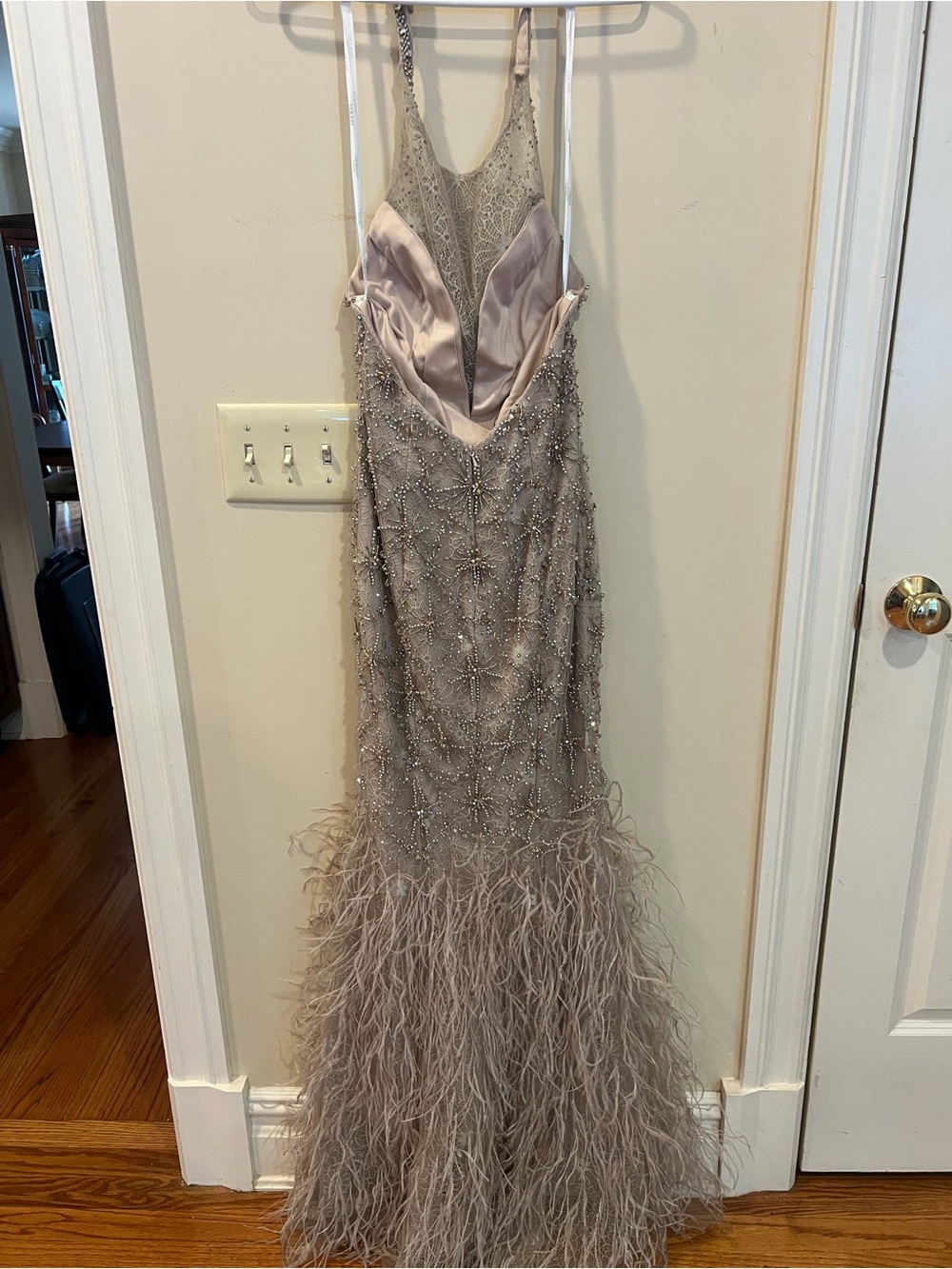 Embellished Feather-Hem Evening Gown in Taupe - Picture 4 of 4